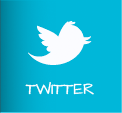 year_in_review_2011_twitter